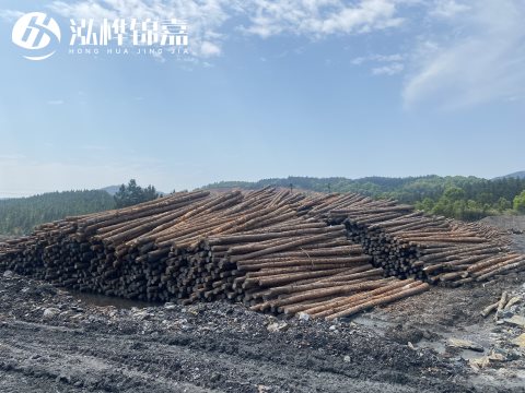 河道打樁為什么選擇松木樁來處理軟地基？-松木樁施工使用范圍