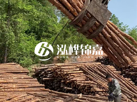 哪里能買到優(yōu)質(zhì) 3 米松木樁？長(zhǎng)沙有松木樁批發(fā)工廠嗎？